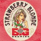 Big Muddy - Strawberry Blonde 4pk Can (414)