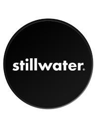 Stillwater - New Gold (4 pack 16oz cans) (4 pack 16oz cans)