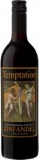 Alexander Valley Vineyards - Temptation Zin 2017 (750ml)