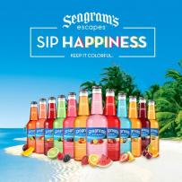Seagram's Escapes - Classic Lime Margarita (4 pack 12oz bottles) (4 pack 12oz bottles)